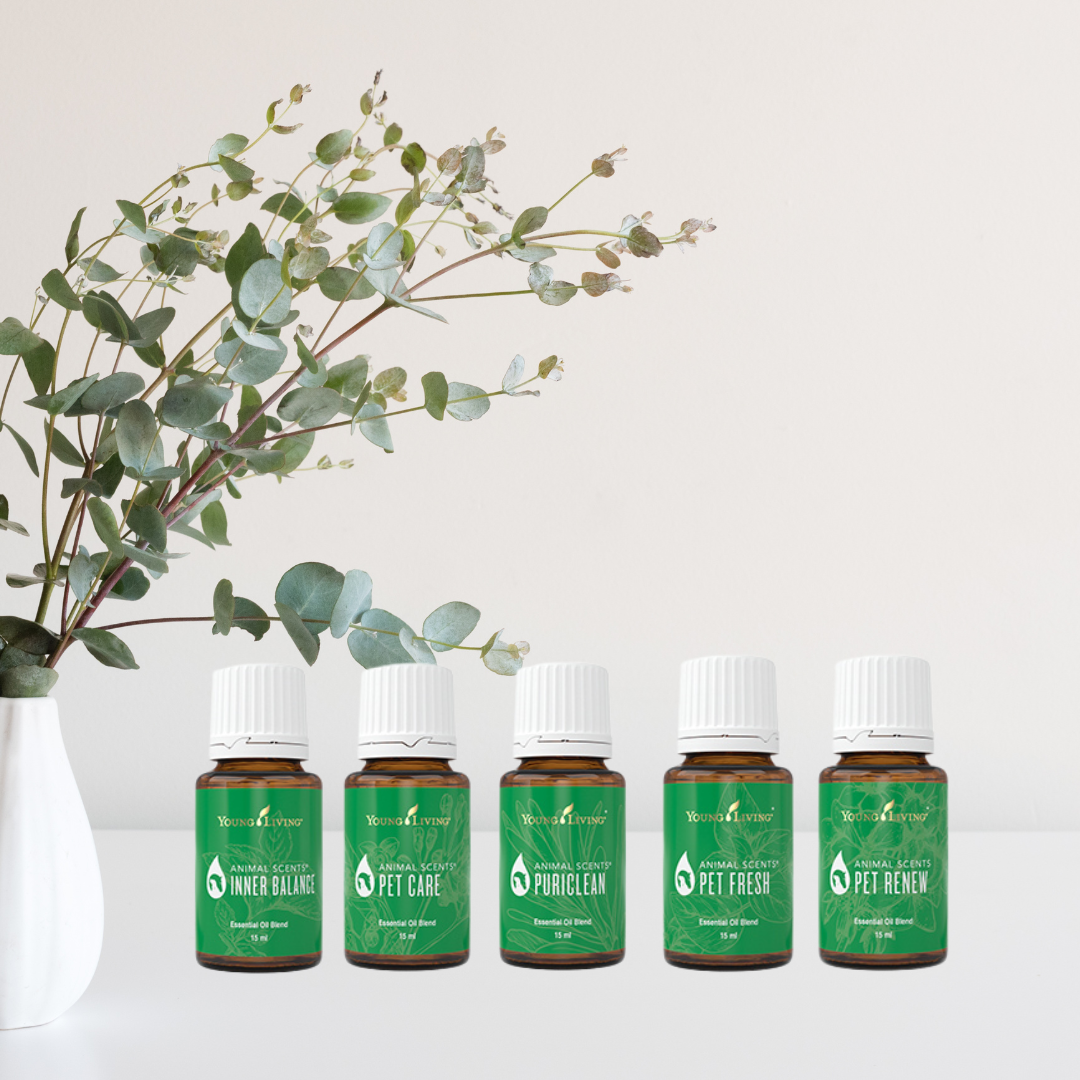 Animal Scents: Aromaterapia Segura y Sin Riesgos para tus Perros y Gatos