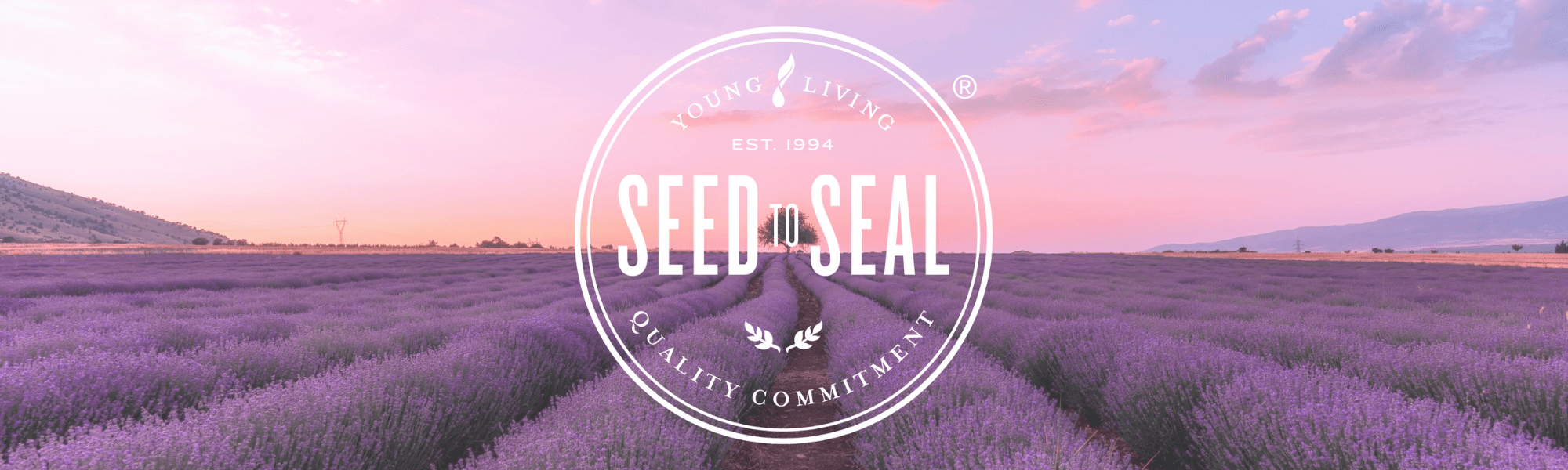 Sello Seed to Seal: Por Qué No Todos los Aceites Esenciales Son Iguales