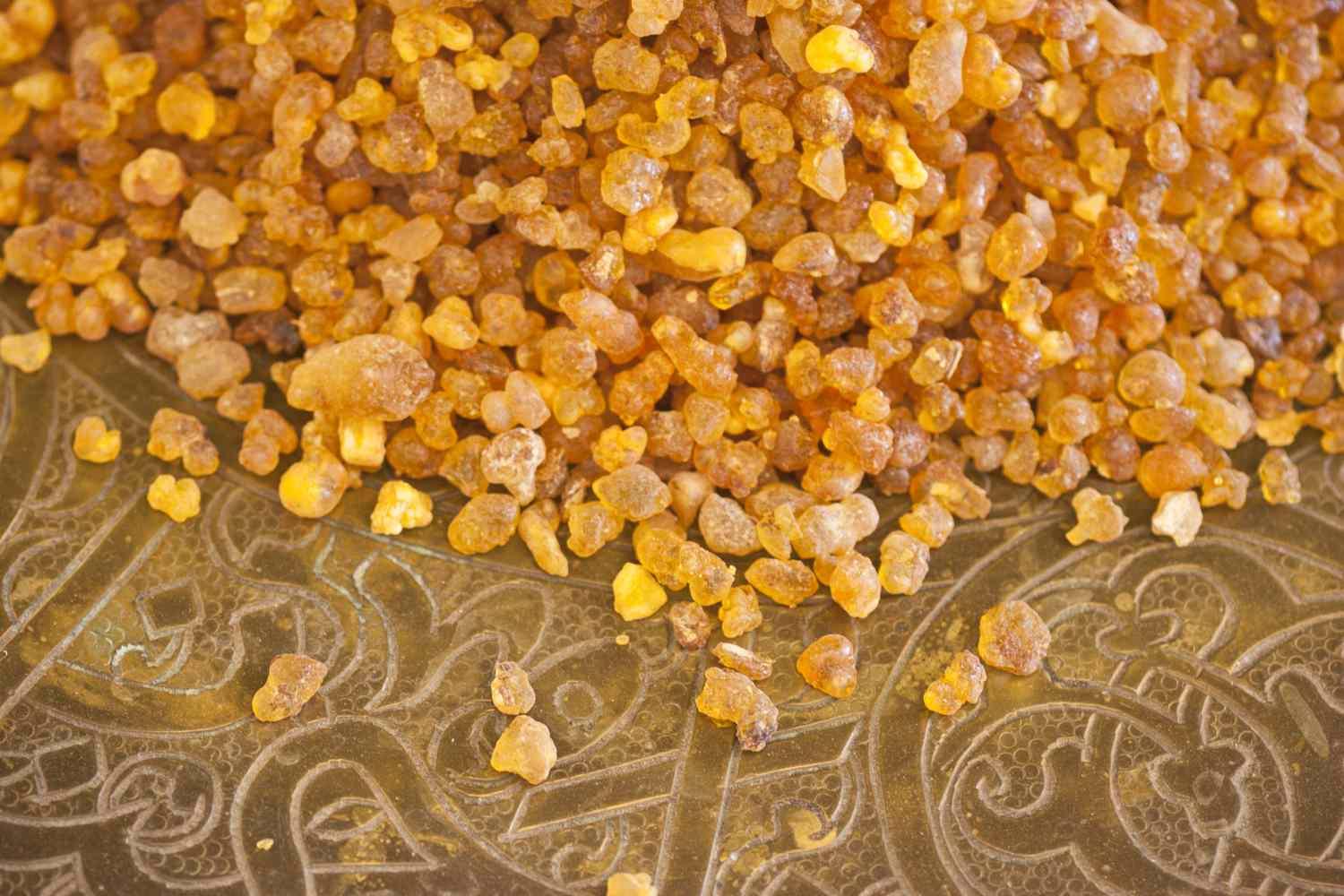 Boswellia Wrinkle Cream: El Poder del Incienso para una Piel Sin Tiempo