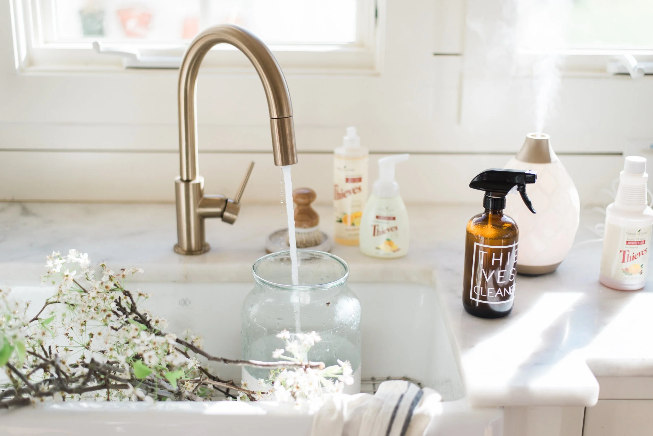 Tu Hogar Sin Tóxicos: Guía Definitiva de Limpieza Natural con Young Living