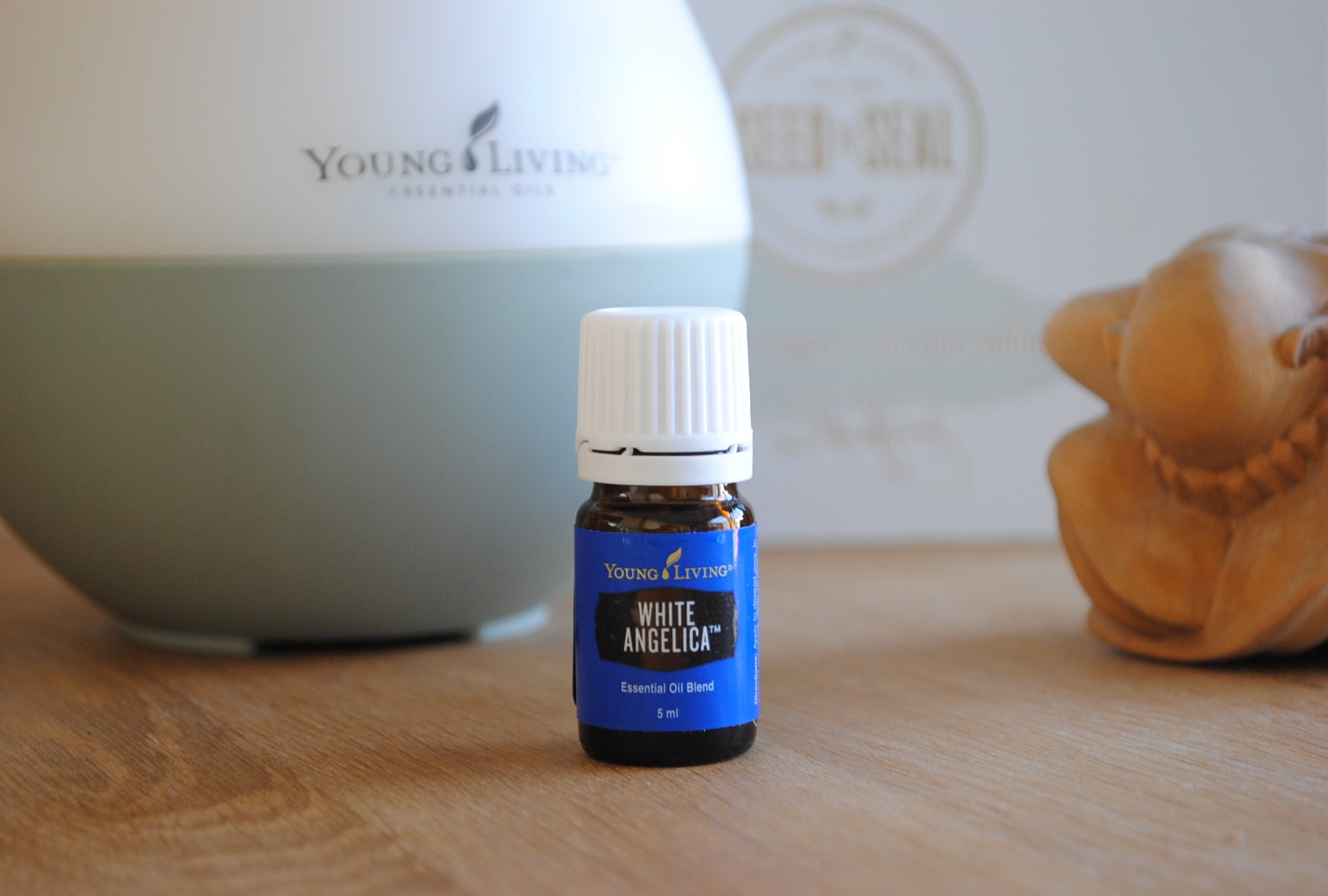 Release y White Angelica: El Dúo Botánico para Soltar Cargas y Proteger tu Energía